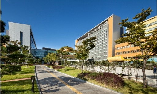 부산대학교병원 이미지