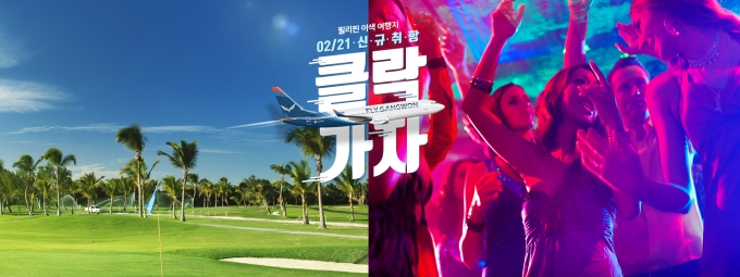 플라이 이미지