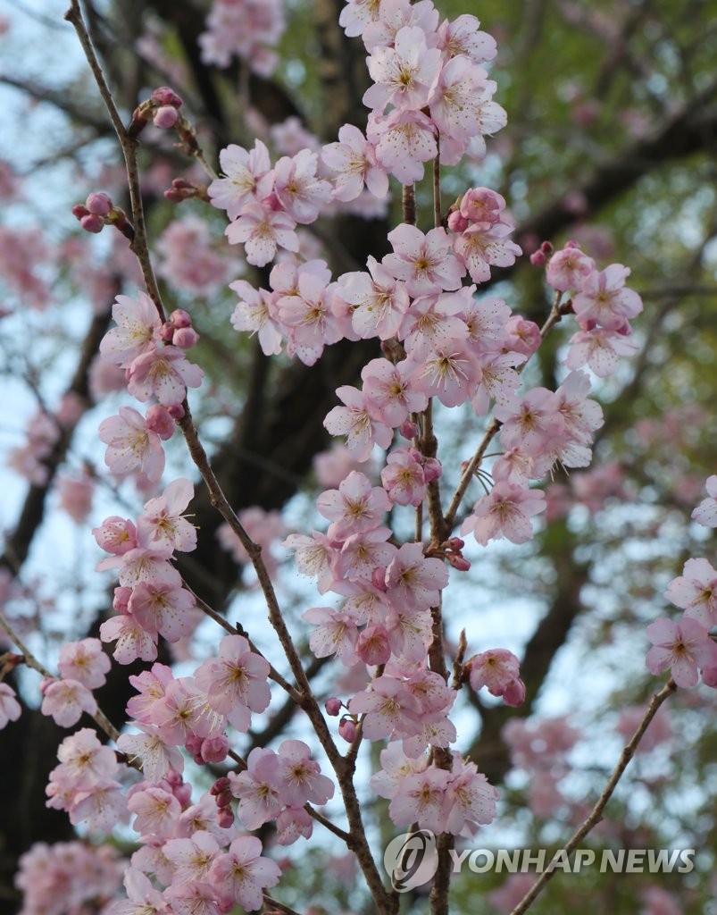 부산배화학교 이미지