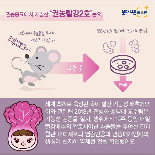 빨강 이미지