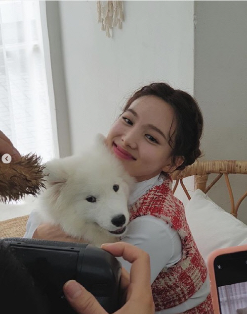 In a photo released on TWICE Instagram on the 27th, Nayeon is laughing with his gums full in his white dog.He shared a picture of his happy memories with them, saying, It is a picture that I want to see the brute.The rumored dog Nayeon has plenty of photos with the poisonous puppy.