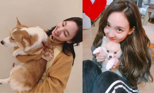In a photo released on TWICE Instagram on the 27th, Nayeon is laughing with his gums full in his white dog.He shared a picture of his happy memories with them, saying, It is a picture that I want to see the brute.The rumored dog Nayeon has plenty of photos with the poisonous puppy.