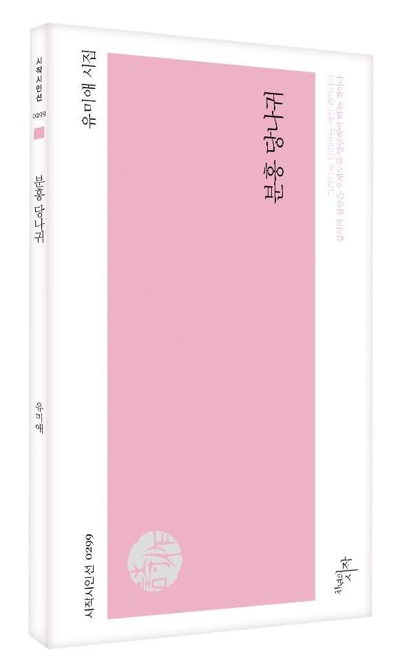 태양슈퍼 이미지