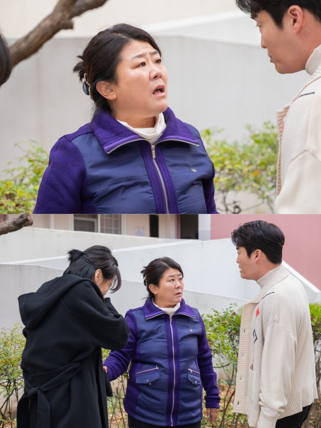 단하이 이미지