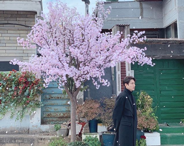 <p>Lee Min-ho 2 days his Instagram in the day bite all of us the Spring is comeand the US said.</p><p>The photo in the leaves under the cherry tree standing in the Lee Min-ho look of it contains. Picturesque visual eyes.</p><p>Meanwhile Lee Min-ho has this day a Donation platform ‘with size(PROMIZ)’Via Corona 19 related funds 3 billion won to Community Chest of Korea(the fruit of love), the international relief and development NGO good neighbors, bridge of Hope Korea Disaster Relief Association, save the children, Green Umbrella Childrens Foundation Korea child Association 3, including a total of 8 Donation Agency has passed on.</p><p>That Donation gold in Daegu, Kyungpook nation, including in need help low-income, and immune vulnerable layer children of infection prevention for personal hygiene products, and Corona 19 for treatment to the medical room for trade goods to buy to quickly write the same day.</p>