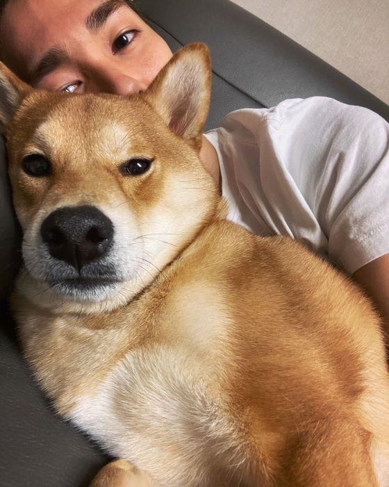 아론 이미지
