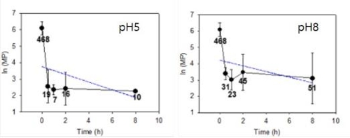 바지락 해감 조건에서 미세플라스틱 함유량 변화 [식품의약품안전처 제공]