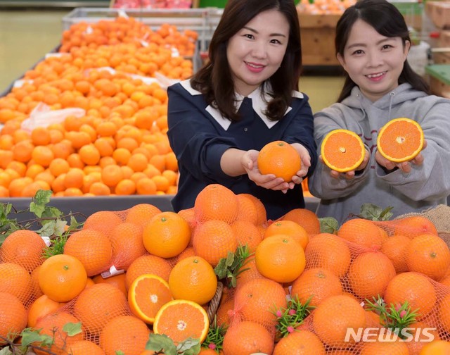오렌지 이미지