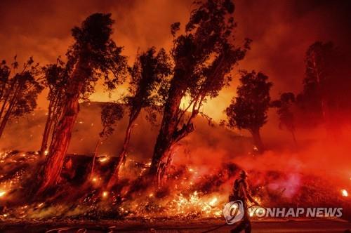 (주)미라투어 이미지