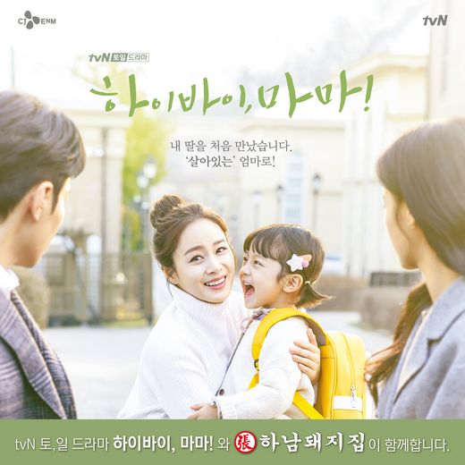 49돼지 이미지