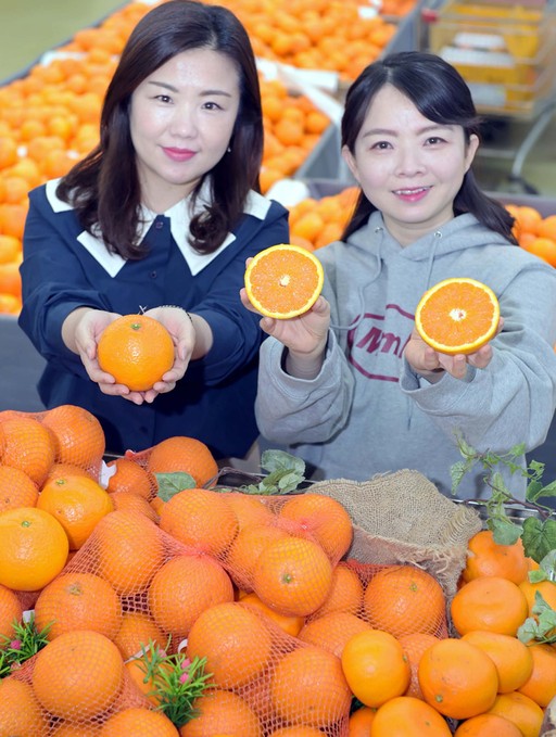 오렌지마트 이미지