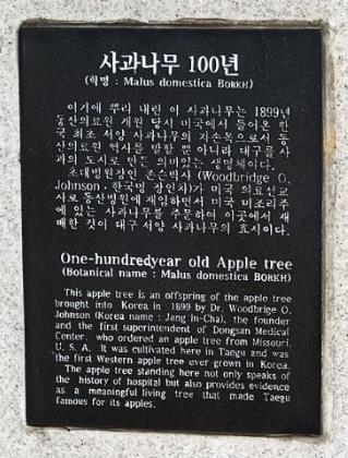 동산글로벌 이미지