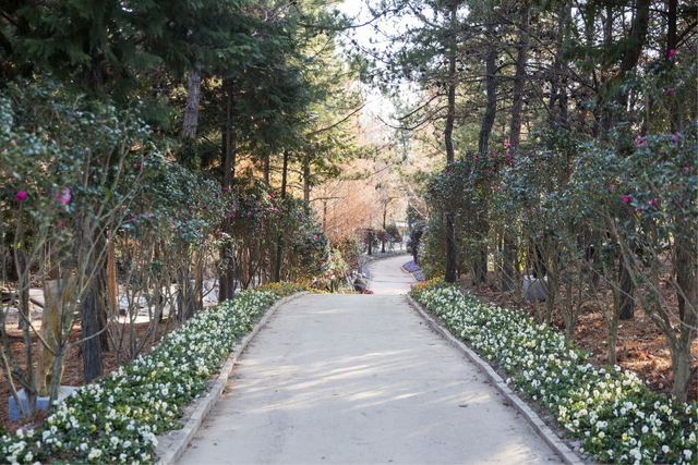 신안환경 이미지