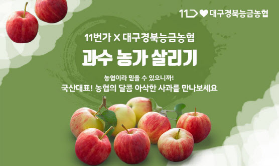 11번가 이미지
