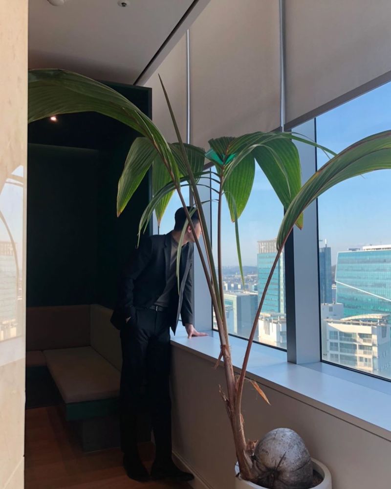 Actor Park Seo-joon showed off pictorial visuals just as he stood in Han RiverPark Seo-joon showed off two photos on his personal Instagram on March 14 and boasted a warm visual.Park Seo-joon in the photo showed a superior glamor in black sunglasses and a black long coat.It is believed to be on the island of Nodle, with Namsan Tower and Han River visible behind Park Seo-joon.Park Seo-joon plays Park Roy in JTBCs gilt drama Itaewon Clath.Park Seo-joons Acting Park Roy has raised the curiosity of viewers by growing up as CEO of I.C., a company in the drama, from the president of Danbampocha, a self-employed company.The netizens who watched the Park Seo-joon post commented on Working with your body and It is not a joke.Choi Yu-jin
