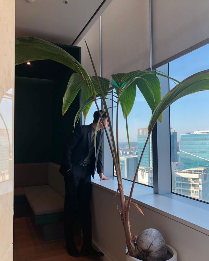 Park Seo-joon, Han River, standing there only in much superior visual public <p>Actor Park Seo-joon the Han River, just stand in the pictorial, as a visual to show him.</p><p>Park Seo-joon 3 14 personal Instagram 2 photos reveal heart-warming visuals were proud. In the photo, Park Seo-joon is black sunglasses in a black long coat, wearing superior to other trucks not exposed. Park Seo-joon behind the Namsan Tower and the Han River shows that the older people on the island are estimated.</p><p>Park Seo-joon is a JTBC Gold review drama Itaewon, then writein the box new, and this role did. Park Seo-joon the smoke box to new pole during the self-employed, the single-night sports car in a stock company I. C CEO grow as viewers of the curious to pull away.</p><p>Park Seo-joon posting netizens the truth about body snatching and working msgstr delivery is not a prank comment such as left behind.</p><p>Meanwhile Park Seo-joon from the movie extreme job Lee Byung-Hun Director to film Dream(working title)by singer IU and breathing to align the schedule.</p>