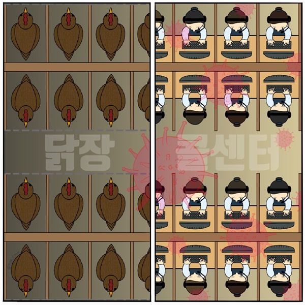 다닭다닭 이미지