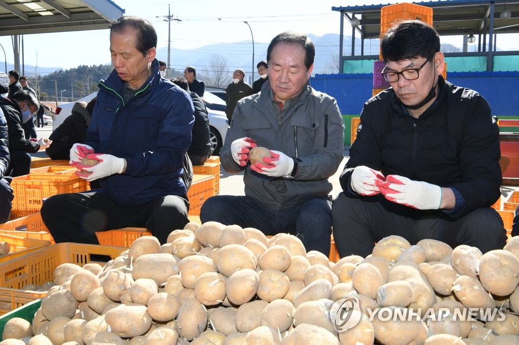 춘천농협경제사업소 이미지