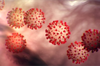 코로나바이러스의 컴퓨터그래픽 이미지 [사진 Naitional Foundation for Infectious Diseases]