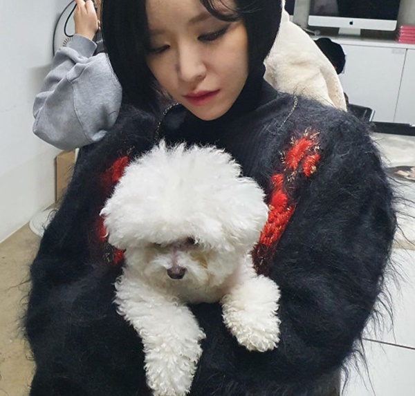 가인투데이 이미지