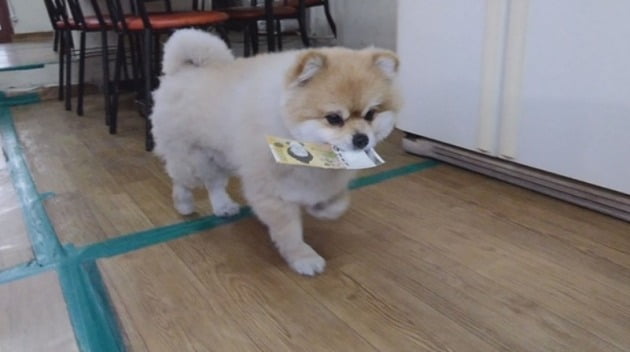 별짬뽕 이미지