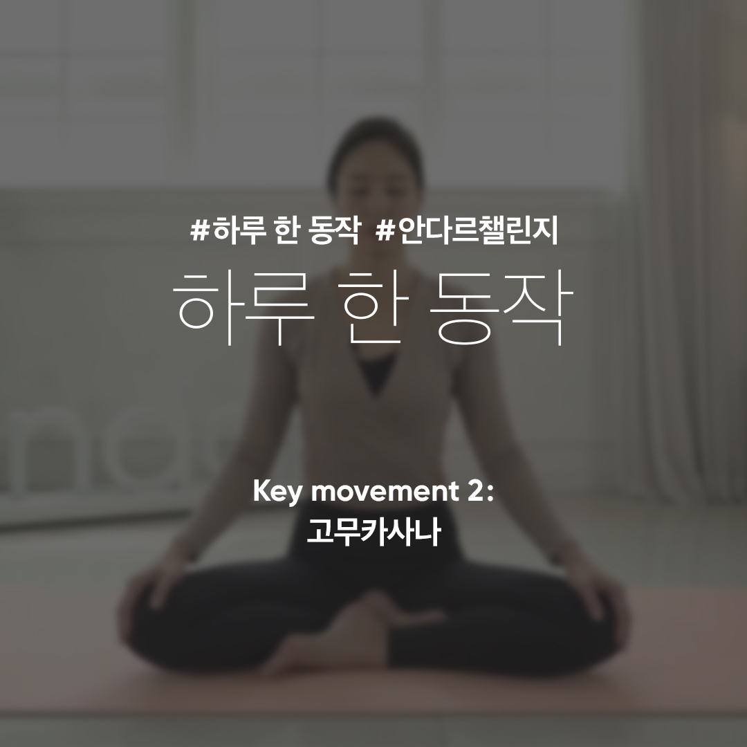 안다르 이미지