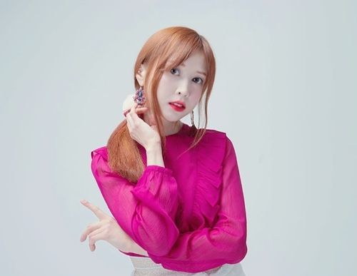둥지엔터테인먼트 이미지