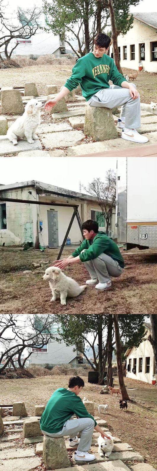 Actor Ahn Bo-hyun has had a happy time with puppyOn the afternoon of the 19th, Ahn Bo-hyun posted a photo passport on his personal SNS saying dumb.In the photo, Ahn Bo-hyun is having a relaxing afternoon sharing a sympathy with white poppy.The fashion sense that seems to be decorating such as green sweatshirt, comfortable pants, sneakers is outstanding.Especially, the fans who watched this are praised for their cute charm, saying, I want to be that dog, I want to be a dog, I am so sorry this weeks barracks and Who poppy.Meanwhile, Ahn Bo-hyun is currently appearing on JTBC Itaewon Klath.Ahn Bo-hyun SNS