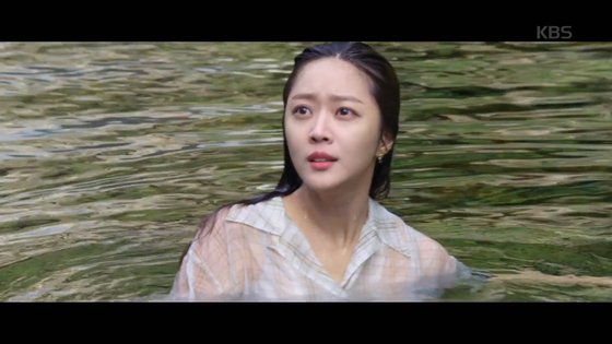 해피해피포레스트 이미지