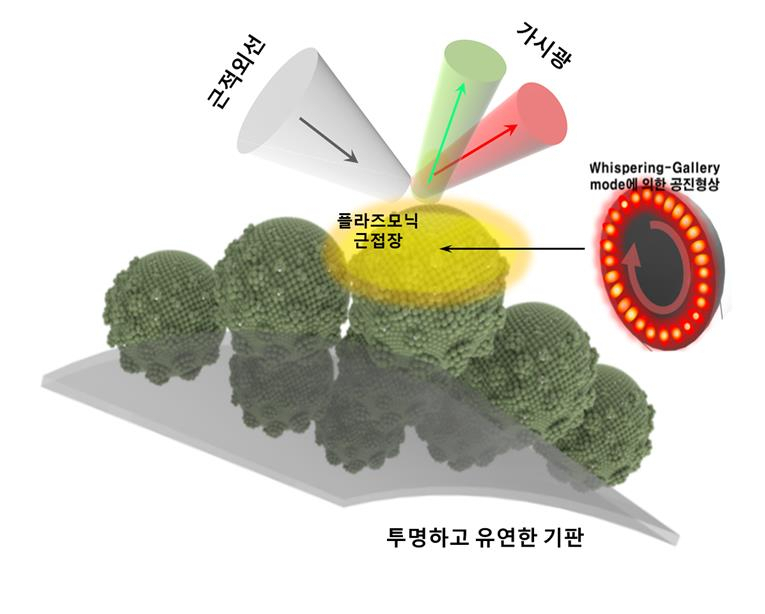 경희세탁 이미지