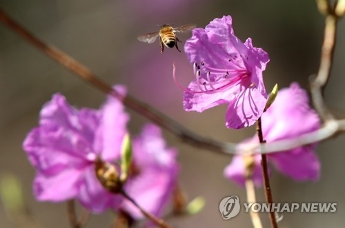행복이있는공간 이미지