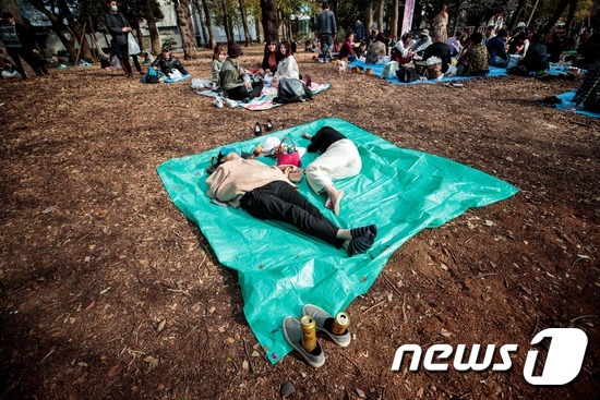 일본 공원의 몸소풍객. © AFP=뉴스1