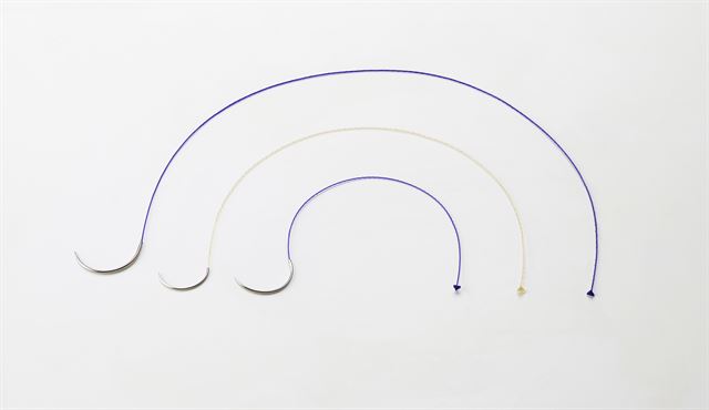 몸생생 이미지
