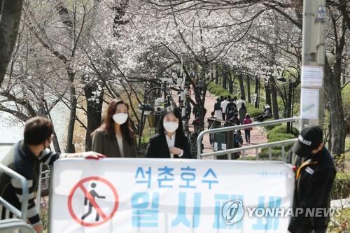 벚꽃길 폐쇄 현수막 [연합뉴스 자료사진]