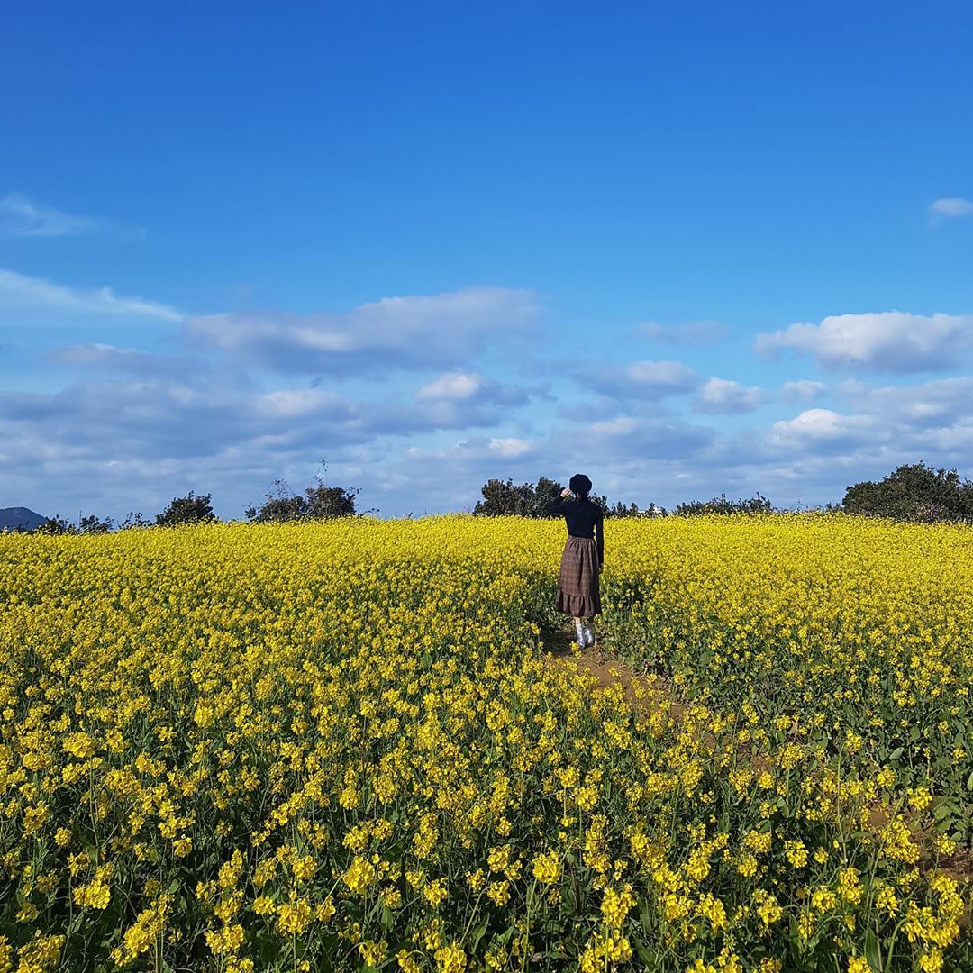 Kang Mina of the group Gugudan reported on the current situation.Kang Mina posted two photos on his instagram on the 1st with an article entitled Photo Esporte Clube Bahia Abuji.Kang Mina in the public photo poses in the background of a picturesque blue sky and a vast rape flower field.Kang Mina is a black-colored hunting cap, turtleneck, and long skirt that completes a neat fashion.Kang Mina appeared as Kim Yu-na in TVN Hotel Deluna which was aired last year.Photo: Kang Mina Instagram