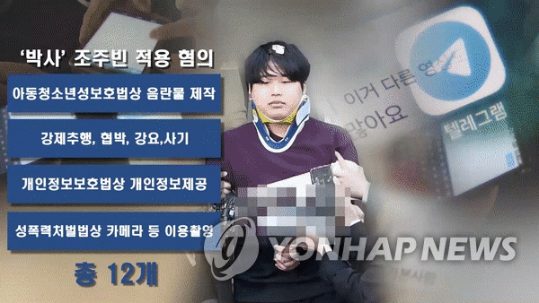 텔레그램을 중심으로 벌어진 n번방 사건 (GIF) [제작 남궁선·정유진·김유경. 재판매 및 DB 금지]