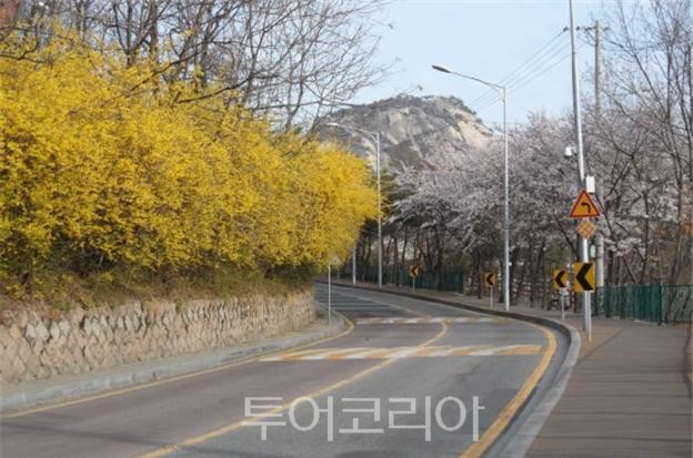 서울산책 이미지