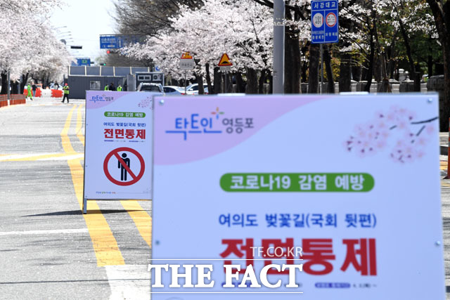 벚꽃사진관 이미지