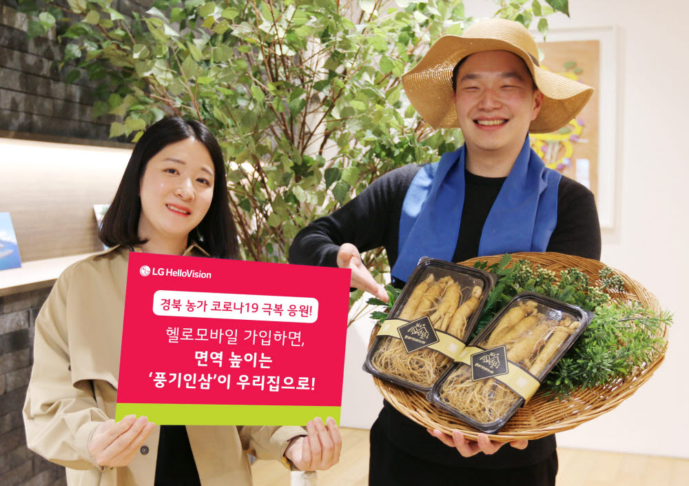 비전폰 이미지