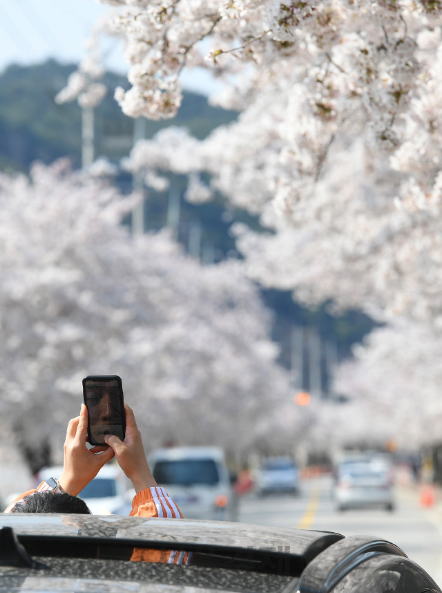 삼척IC 이미지
