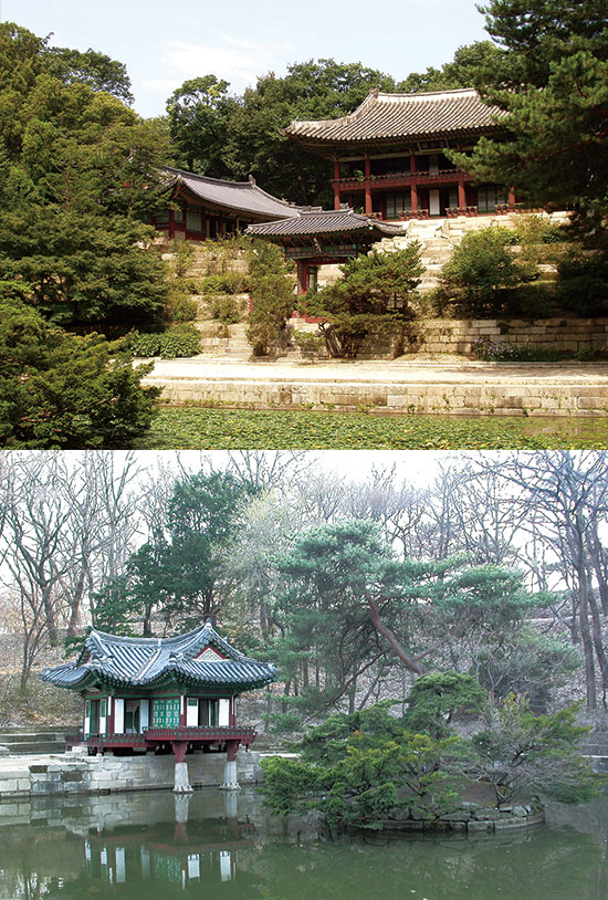 비원 이미지