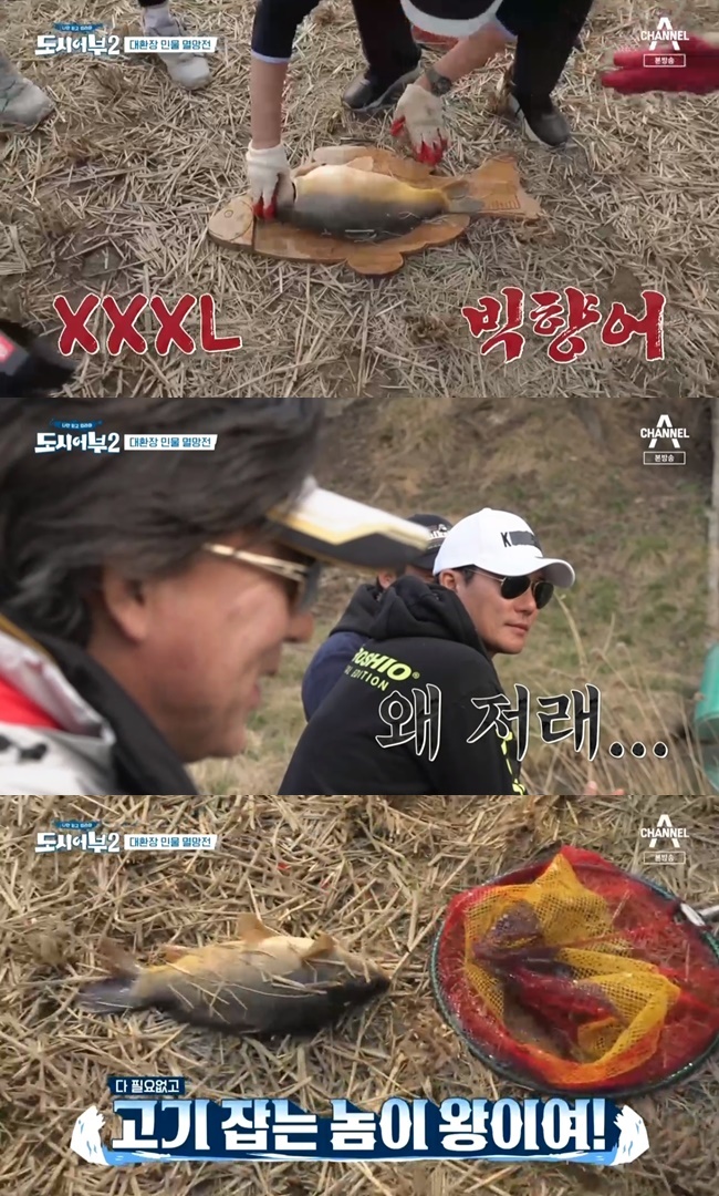 향어시대 이미지