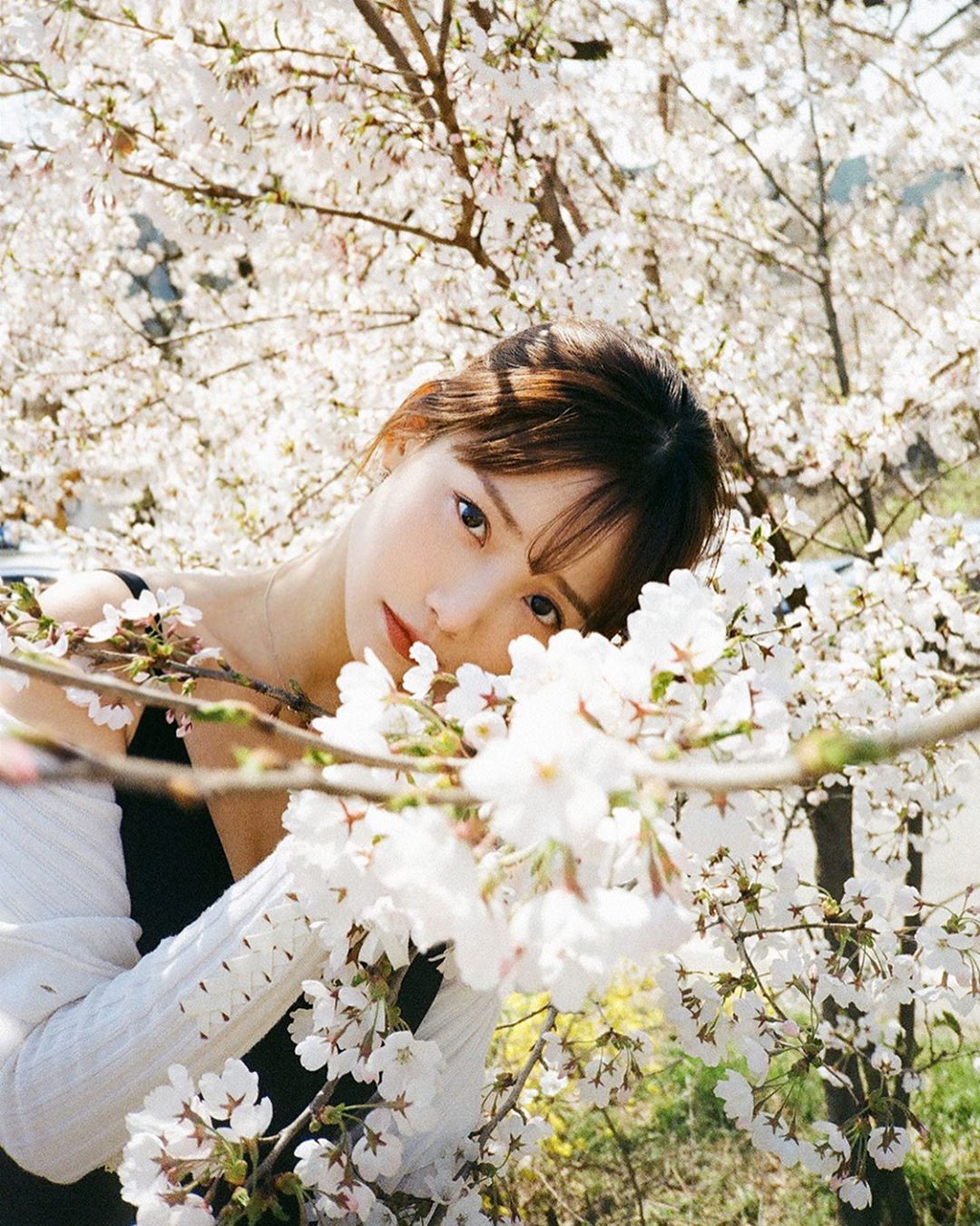 Actor Ha Yeon-soo flaunted beautiful looks over flowersHa Yeon-soo posted a picture on his Instagram on the 9th.In the photo, Ha Yeon-soo is wearing a black sleeveless white cardigan and looking at the camera among Cherry trees.The combination of bright flowers and Ha Yeon-soos innocent beautiful looks is like a picture. The face just before the extinction and the round eyes attract attention.The netizens praised Ha Yeon-soos beautiful look with comments such as It is really beautiful, This is really beautiful look, The tired eyes are cleaned and The flowers are not flowers in front of Mr. Yeon-su.Ha Yeon-soo is appearing on SBS Plus entertainment program Winat Season 2.Photo Ha Yeon-soo SNS