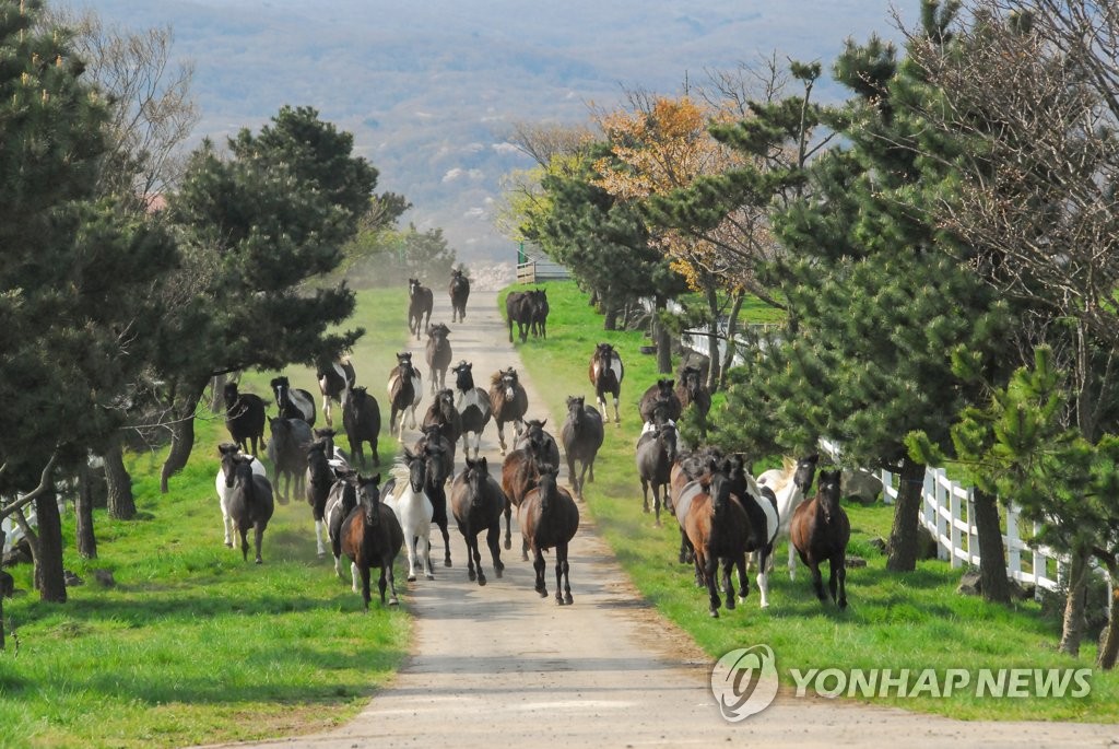 초지축산 이미지