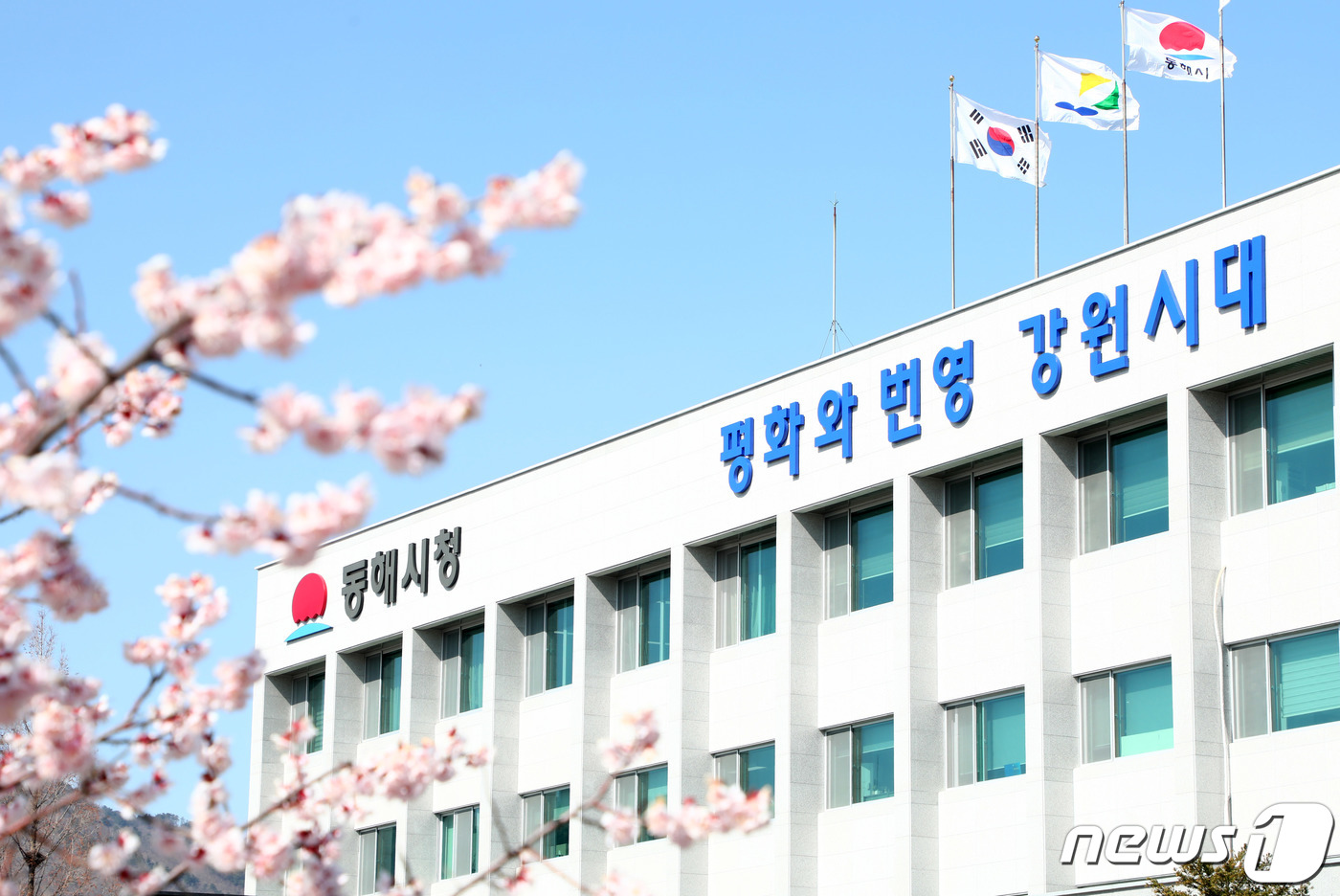 (재)동해문화관광재단 이미지
