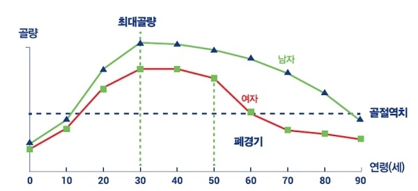 뼈는 피부나 심장, 뇌처럼 살아있는 조직체로 파골세포가 낡은 뼈를 파괴하면 조골세포가 새로운 뼈를 형성한다. 하지만 노화, 폐경 등의 영향으로 두 세포의 균형이 깨지면 골밀도가 감소하는데 그 시작시기는 30대부터다. 따라서 어릴 때부터 30대까지 최대한 뼈를 건강하게 만든 뒤 이를 중장년기까지 꾸준히 유지해야한다(그래프=대한골대사학회).