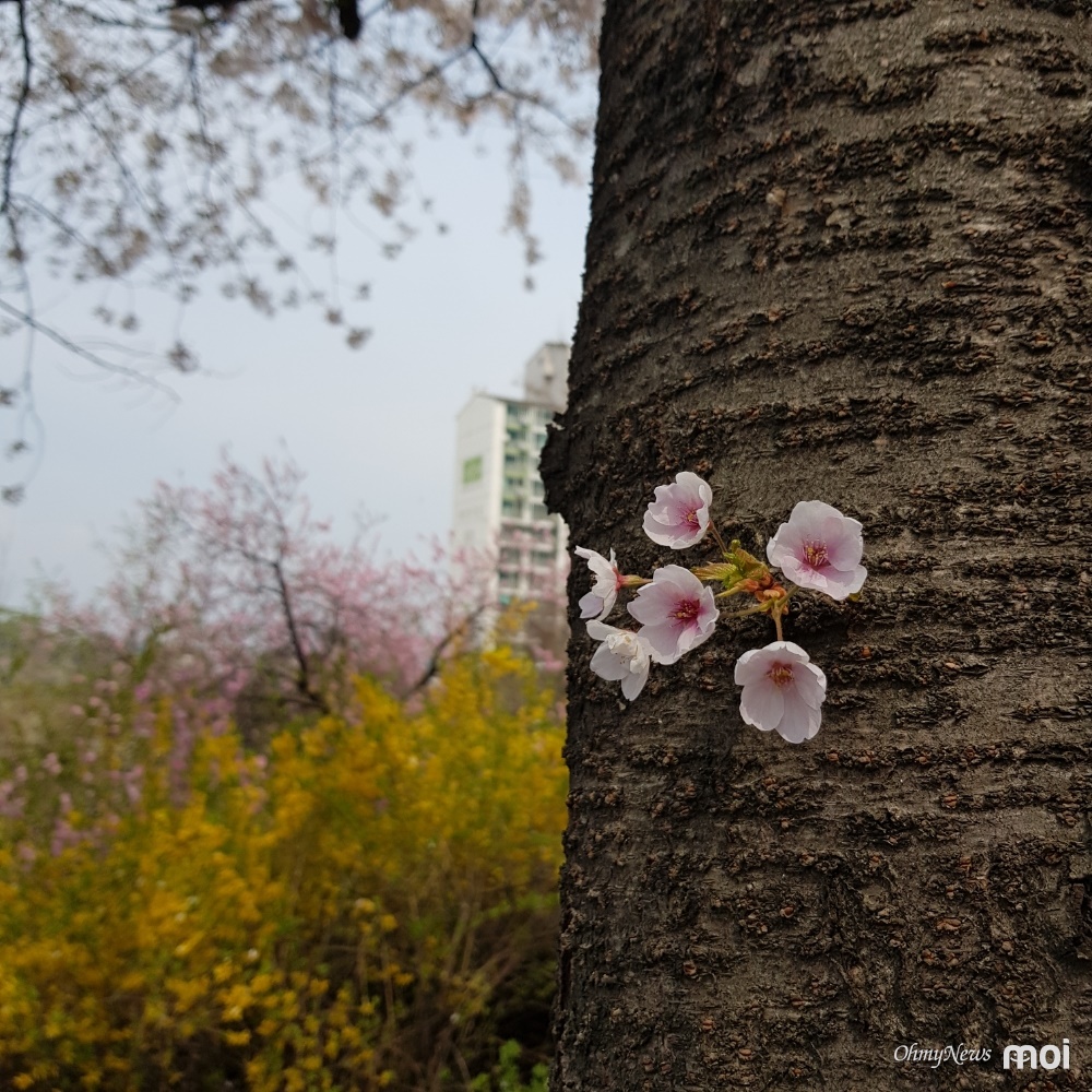 풍경꽃방 이미지