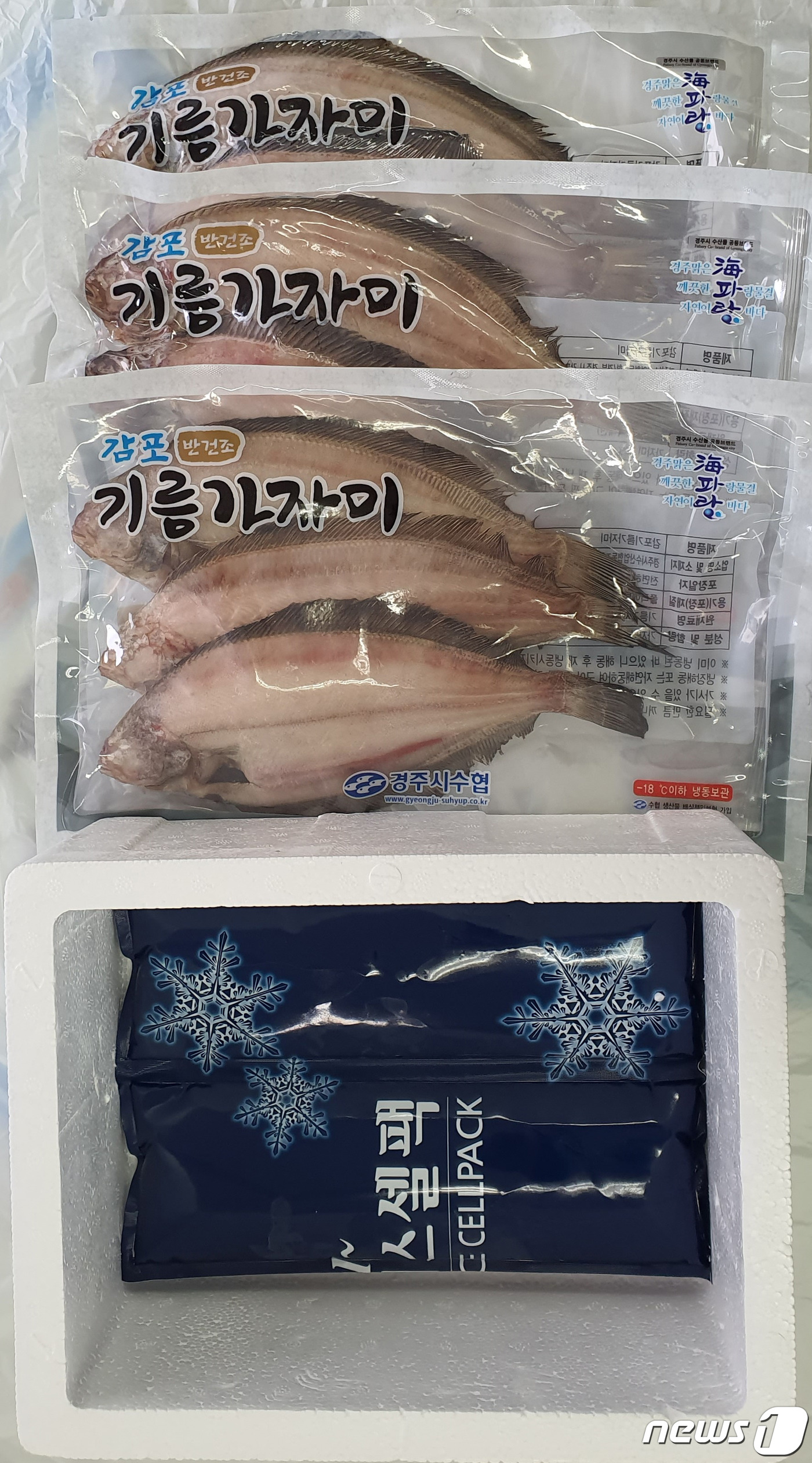 경주시수산업협동조합 이미지