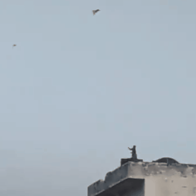 수산타 난다 인도 산림청 담당관이 자신의 트위터에 올린 ‘연 날리는 원숭이’ 영상. 출처 트위터