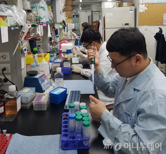엔지켐생명과학 연구진이 대전에 위치한 회사 연구소에서 신약 개발에 전념하고 있다. / 사진제공=엔지켐생명과학